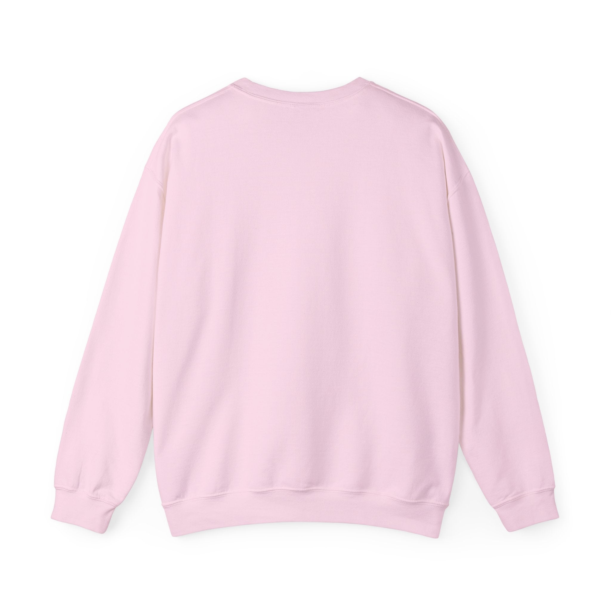 Earth Day, Every Day Sweatshirt: Eco-Friendly Apparel to Honor Our Planet