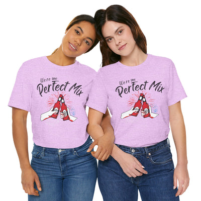 We're the Perfect Mix Valentine's Day T-Shirt - Cute Couples Tee