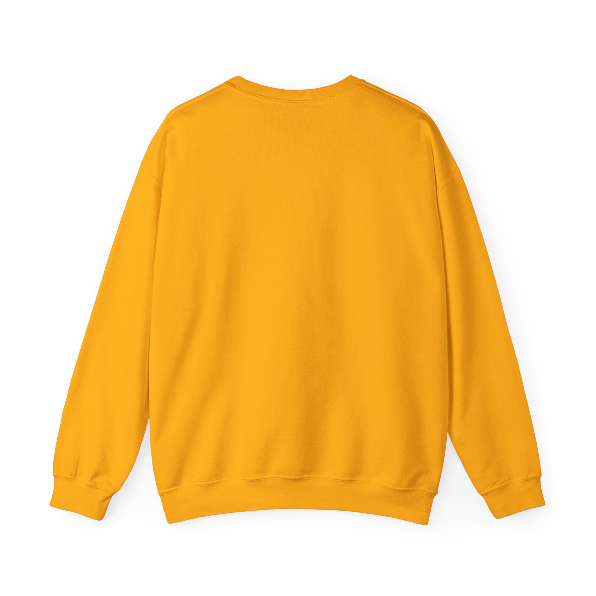 Earth Day, Every Day Sweatshirt: Eco-Friendly Apparel to Honor Our Planet