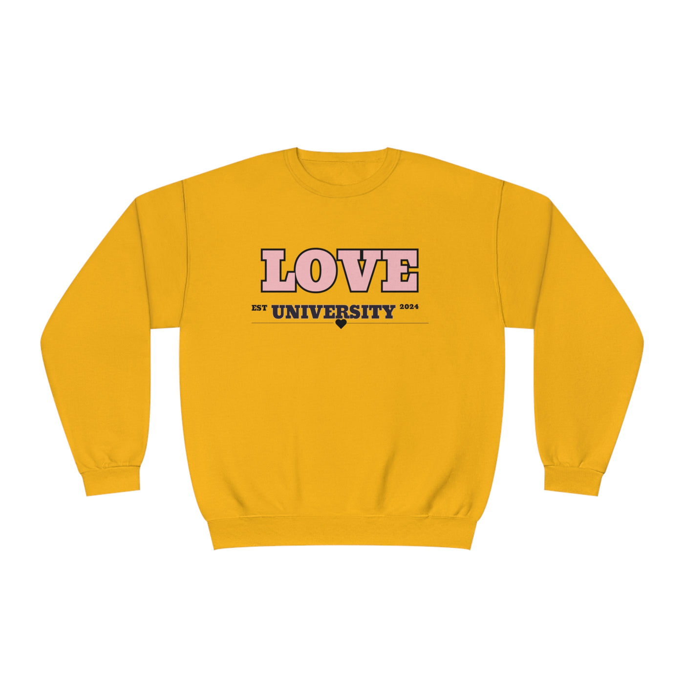 Love in University Valentine Sweatshirt - Cute & Cozy Crewneck for College Students