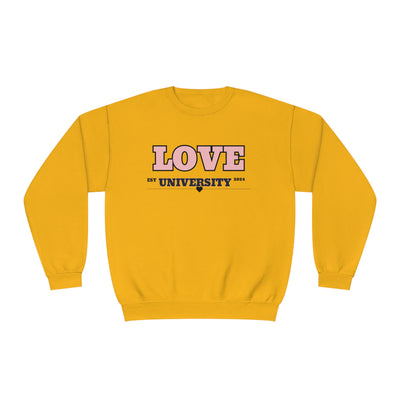 Love in University Valentine Sweatshirt - Cute & Cozy Crewneck for College Students